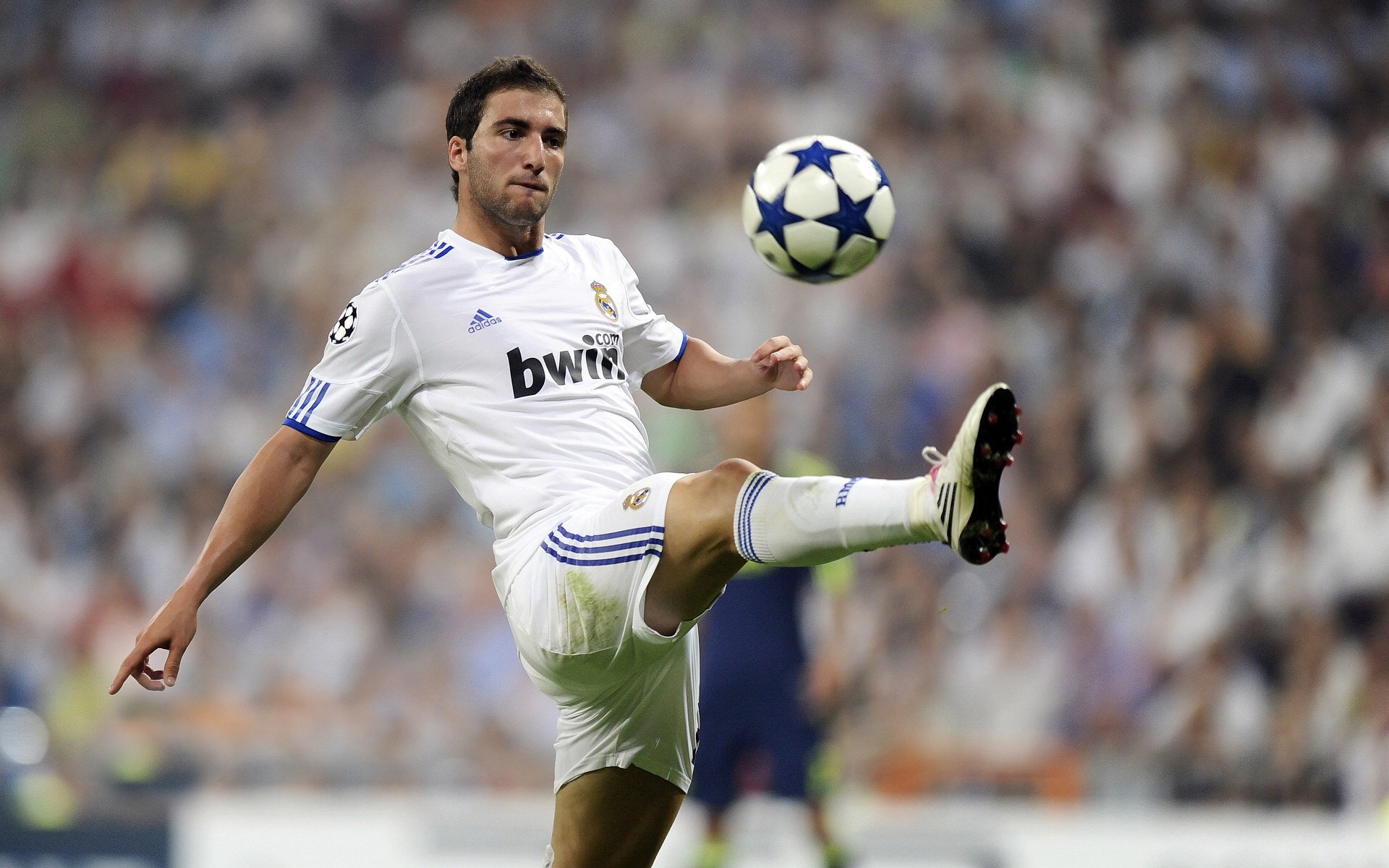 体育新闻中心深度评论专稿，关于体育的新闻评论